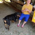 View Gallery Image #5