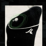 View Gallery Image #12