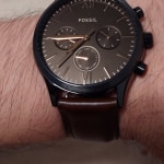 Bq2364 fossil 2025