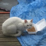 View Gallery Image #14