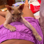 View Gallery Image #15