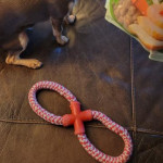 View Gallery Image #2