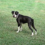 View Gallery Image #7