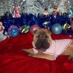 View Gallery Image #6