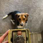 Fossil fs5447p best sale