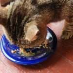 View Gallery Image #7