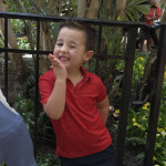 View Gallery Image #4