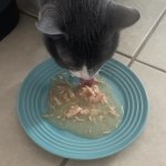 View Gallery Image #9