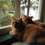 View Gallery Image #9