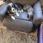 View Gallery Image #2