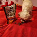 View Gallery Image #13