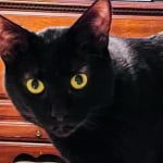 View Gallery Image #1