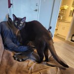 View Gallery Image #1