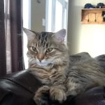 View Gallery Image #5