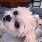 View Gallery Image #9