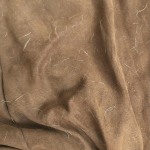 View Gallery Image #5