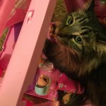 View Gallery Image #1