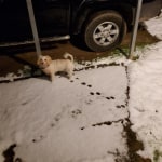 View Gallery Image #9