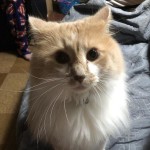 View Gallery Image #2