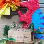 Pastel Rainbow Birthday Party Decorations - 30pcs Tissue Pom Poms  StreamersGa