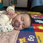 View Gallery Image #9