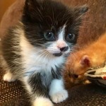 View Gallery Image #8