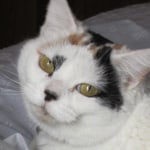 View Gallery Image #1