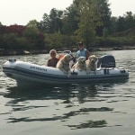 View Gallery Image #9