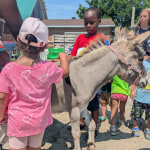 View Gallery Image #1