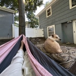 View Gallery Image #4