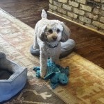 View Gallery Image #2