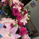 pink rose♡ Pink X-Pression Roses - 25st. - Ramirez Wholesale Flowers Inc