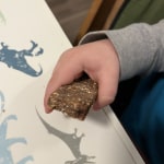 View Gallery Image #11