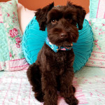 View Gallery Image #8