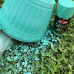 Krylon CHALKY FINISH 11 Oz. Chalk Spray Paint Sealer, Clear