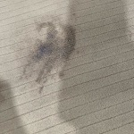 View Gallery Image #15