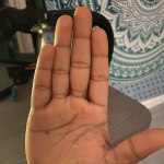 View Gallery Image #2