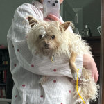 View Gallery Image #7