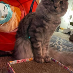 View Gallery Image #7