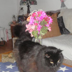 View Gallery Image #7