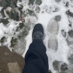 North face thermoball lifty hot sale
