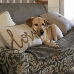 View Gallery Image #3