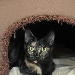 View Gallery Image #11