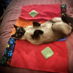 View Gallery Image #9