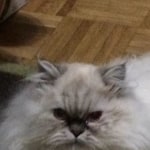 View Gallery Image #1