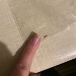 View Gallery Image #11