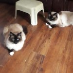 View Gallery Image #2