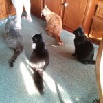 View Gallery Image #14