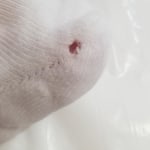 View Gallery Image #9