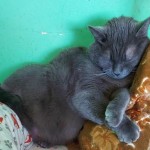 View Gallery Image #10